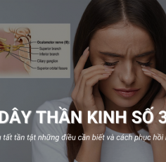 Tìm hiểu tất tần tật về dây thần kinh số 3 và cách phục hồi hiệu quả